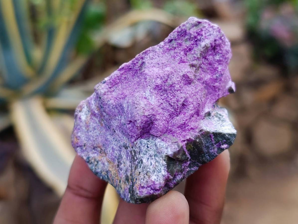 Natural Stichtite Cobbed Specimens x 24 From Barberton, South Africa - Toprock Gemstones and Minerals 