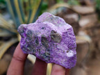 Natural Stichtite Cobbed Specimens x 24 From Barberton, South Africa - Toprock Gemstones and Minerals 