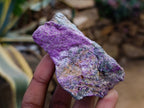 Natural Stichtite Cobbed Specimens x 24 From Barberton, South Africa - Toprock Gemstones and Minerals 