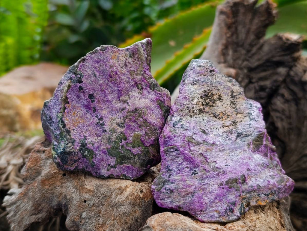 Natural Stichtite Cobbed Specimens x 24 From Barberton, South Africa - Toprock Gemstones and Minerals 