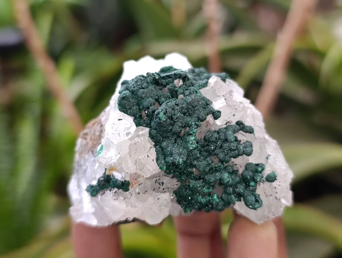 Natural Ball Malachite and Drusy Quartz On Dolomite Matrix Specimens x 6 From Mindingi Mine, Kambove, Congo - Toprock Gemstones and Minerals 