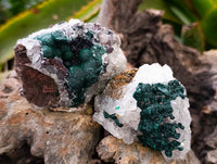 Natural Ball Malachite and Drusy Quartz On Dolomite Matrix Specimens x 6 From Mindingi Mine, Kambove, Congo
