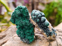 Natural Ball Malachite and Drusy Quartz On Dolomite Matrix Specimens x 6 From Mindingi Mine, Kambove, Congo