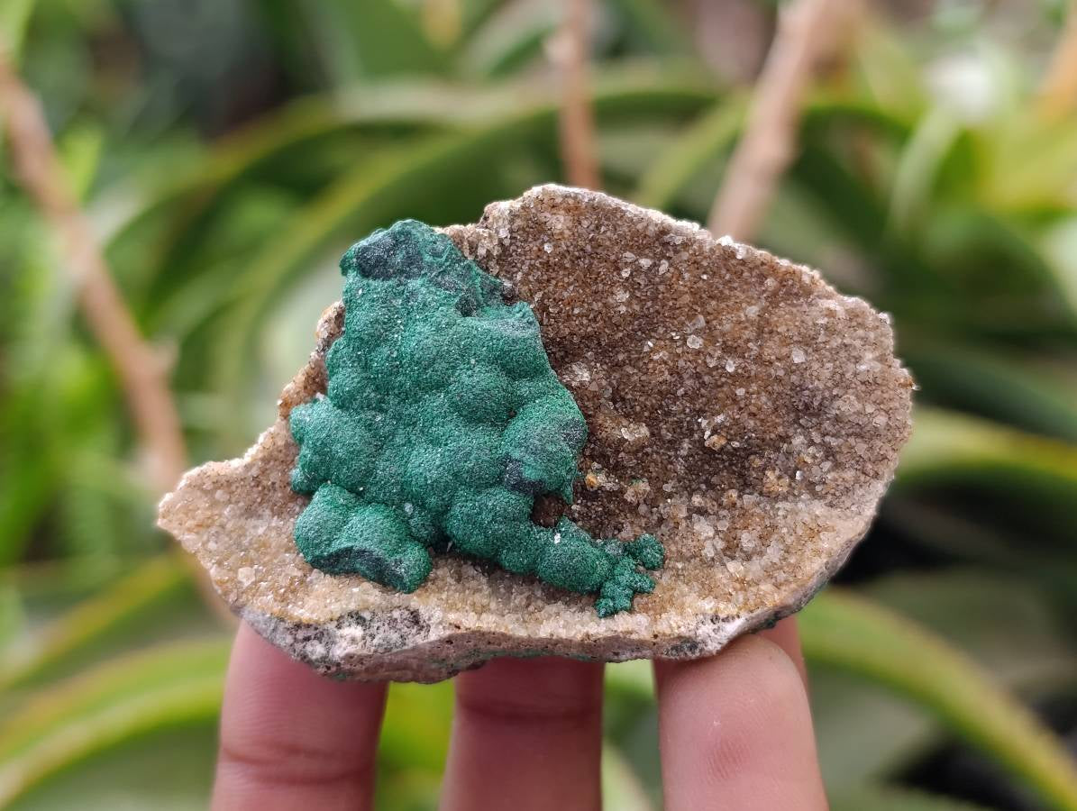 Natural Ball Malachite and Drusy Quartz On Dolomite Matrix Specimens x 6 From Mindingi Mine, Kambove, Congo - Toprock Gemstones and Minerals 