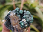 Natural Ball Malachite and Drusy Quartz On Dolomite Matrix Specimens x 6 From Mindingi Mine, Kambove, Congo - Toprock Gemstones and Minerals 