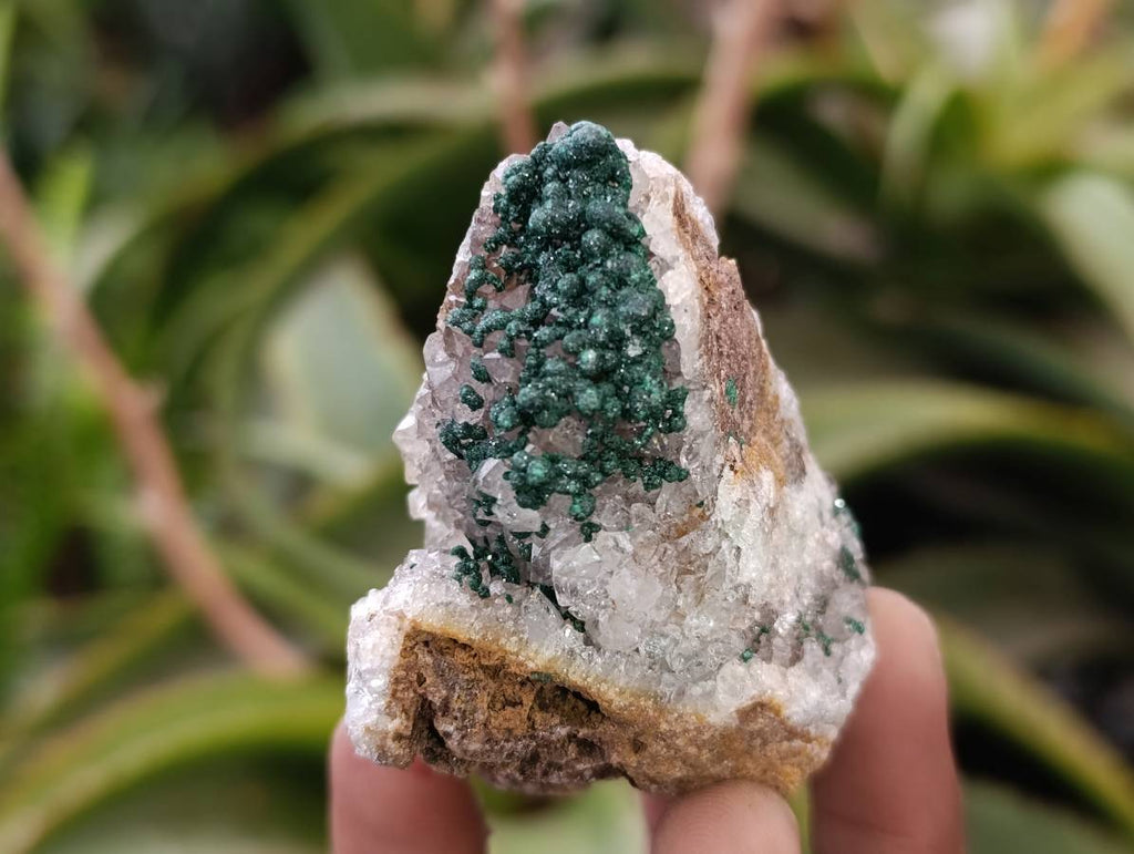 Natural Ball Malachite and Drusy Quartz On Dolomite Matrix Specimens x 6 From Mindingi Mine, Kambove, Congo - Toprock Gemstones and Minerals 