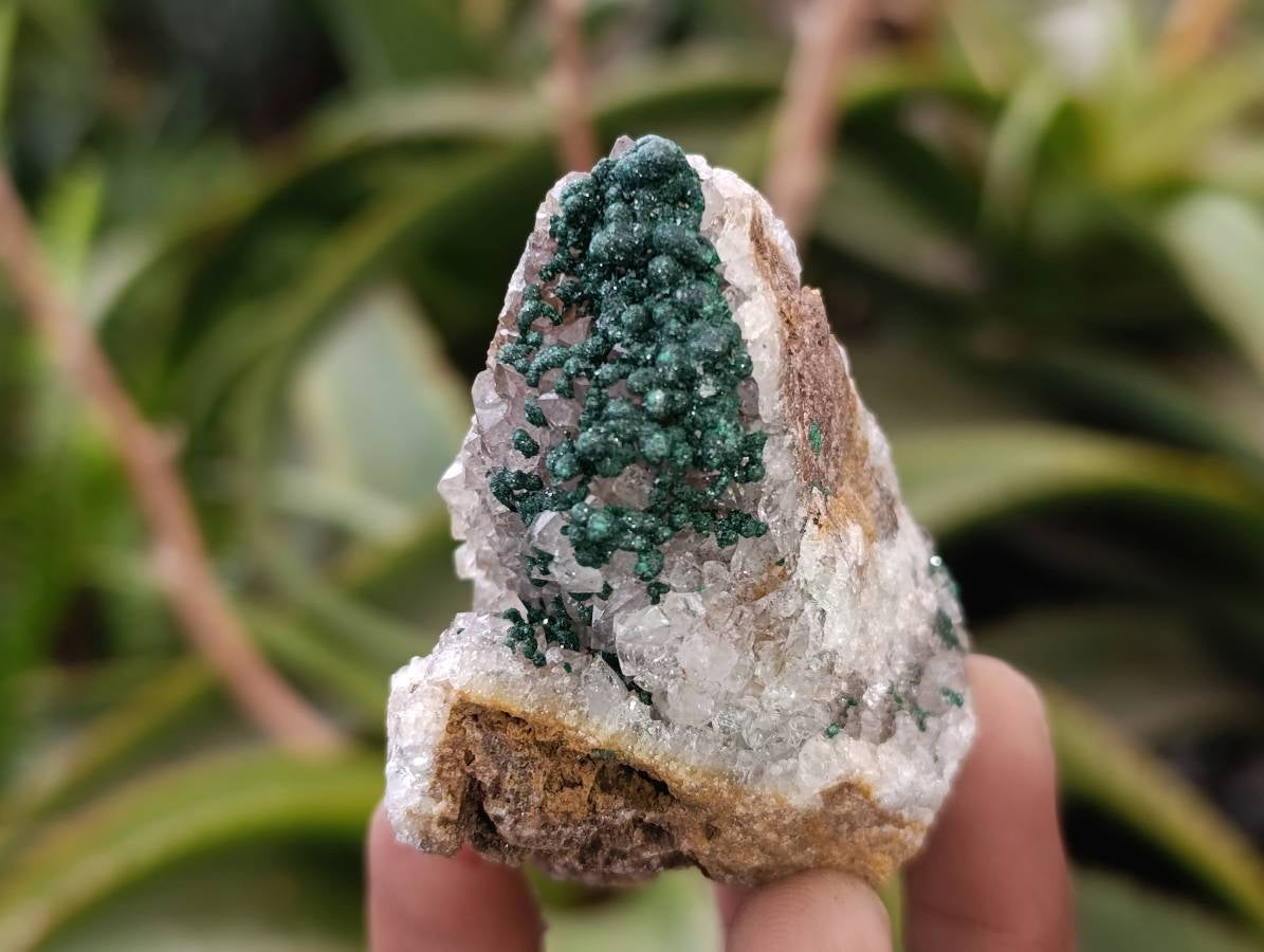 Natural Ball Malachite and Drusy Quartz On Dolomite Matrix Specimens x 6 From Mindingi Mine, Kambove, Congo - Toprock Gemstones and Minerals 