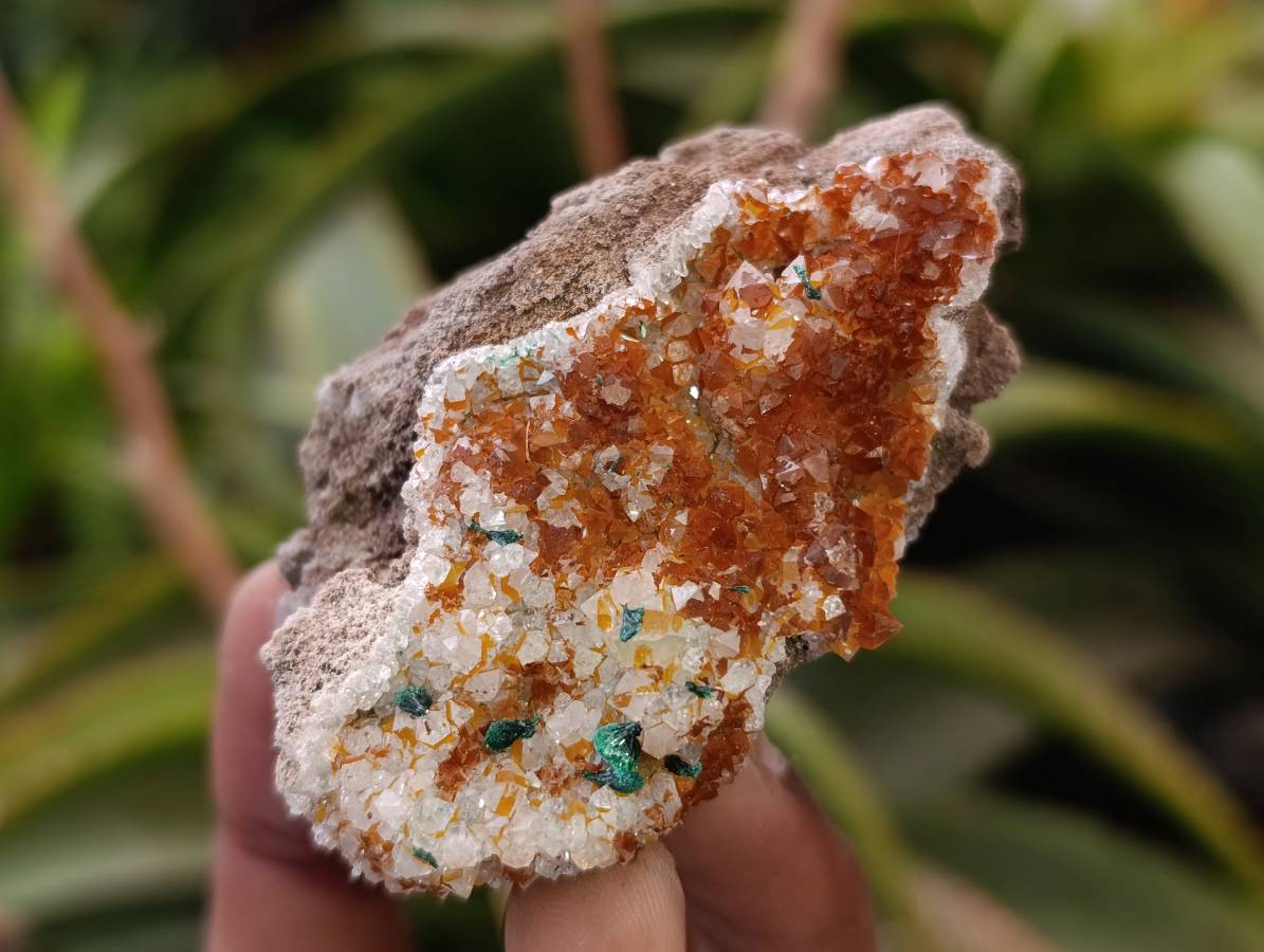 Natural Ball Malachite and Drusy Quartz On Dolomite Matrix Specimens x 6 From Mindingi Mine, Kambove, Congo - Toprock Gemstones and Minerals 