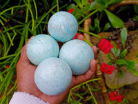 Polished Amazonite Spheres x 6 From Madagascar