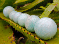 Polished Amazonite Spheres x 6 From Madagascar
