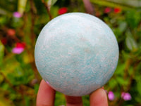 Polished Amazonite Spheres x 6 From Madagascar