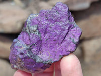 Natural Metallic Purpurite Specimens x 12 From Erongo, Namibia