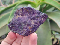 Natural Metallic Purpurite Specimens x 12 From Erongo, Namibia