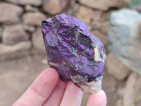 Natural Metallic Purpurite Specimens x 12 From Erongo, Namibia