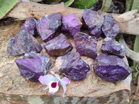 Natural Metallic Purpurite Specimens x 12 From Erongo, Namibia