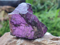 Natural Metallic Purpurite Specimens x 12 From Erongo, Namibia