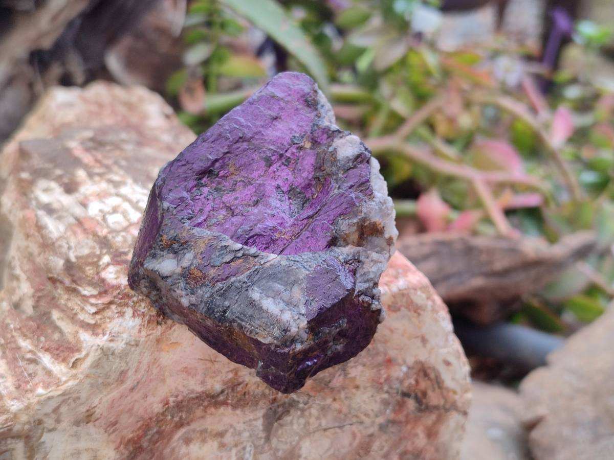 Natural Metallic Purpurite Specimens x 12 From Erongo, Namibia - Toprock Gemstones and Minerals 