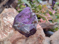 Natural Metallic Purpurite Specimens x 12 From Erongo, Namibia