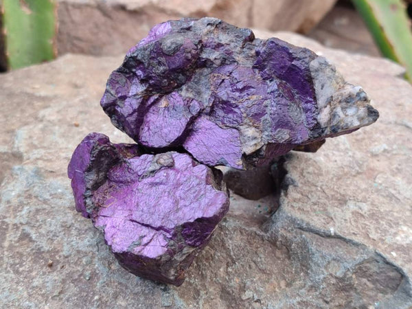 Natural Metallic Purpurite Specimens x 12 From Erongo, Namibia