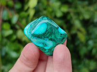 Polished Malacolla Free Forms x 35 From Kulukuluku, Congo