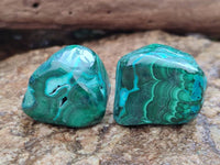 Polished Malacolla Free Forms x 35 From Kulukuluku, Congo