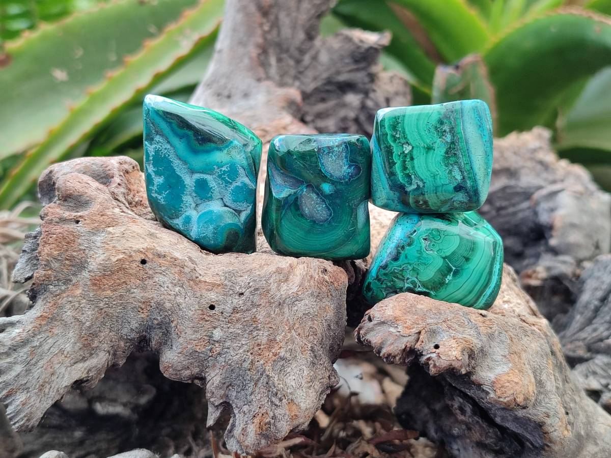 Polished Malacolla Free Forms x 35 From Kulukuluku, Congo - Toprock Gemstones and Minerals 