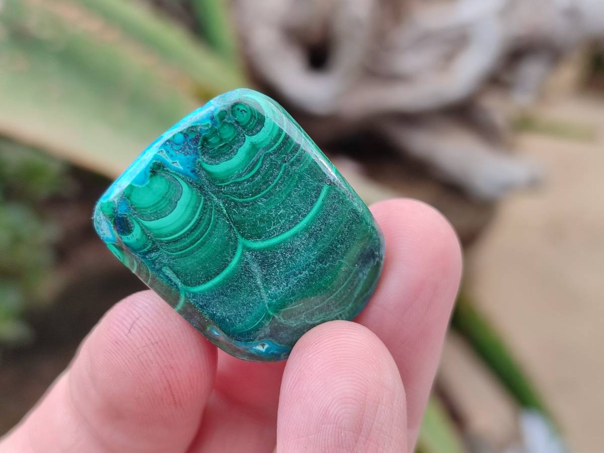 Polished Malacolla Free Forms x 35 From Kulukuluku, Congo - Toprock Gemstones and Minerals 