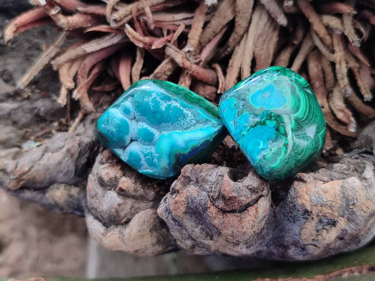 Polished Malacolla Free Forms x 35 From Kulukuluku, Congo - Toprock Gemstones and Minerals 