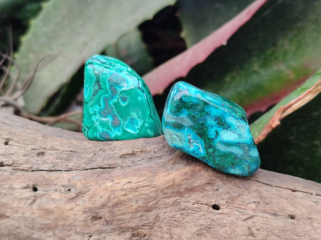 Polished Malacolla Free Forms x 35 From Kulukuluku, Congo - Toprock Gemstones and Minerals 