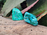 Polished Malacolla Free Forms x 35 From Kulukuluku, Congo
