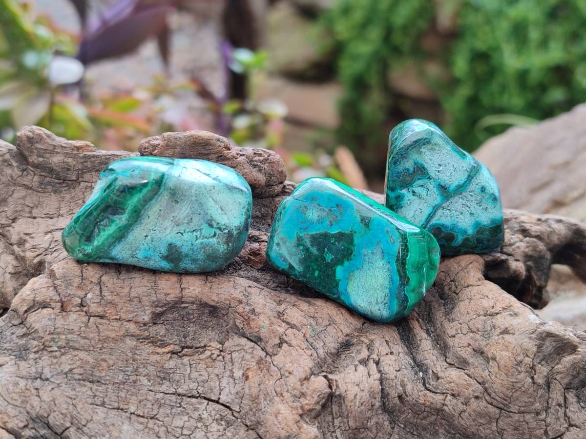 Polished Malacolla Free Forms x 35 From Kulukuluku, Congo - Toprock Gemstones and Minerals 