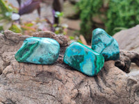 Polished Malacolla Free Forms x 35 From Kulukuluku, Congo