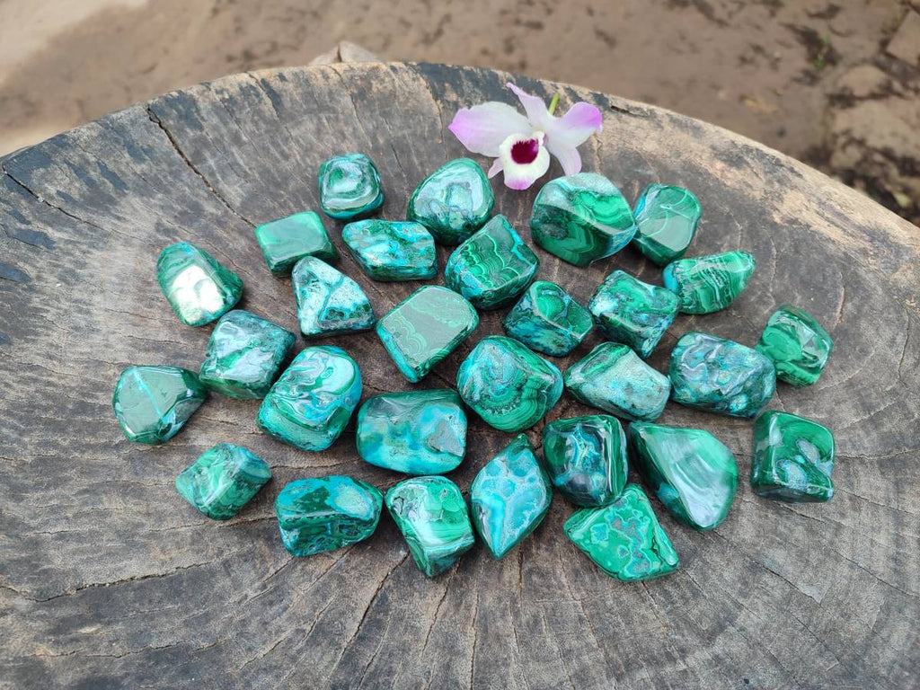 Polished Malacolla Free Forms x 35 From Kulukuluku, Congo - Toprock Gemstones and Minerals 