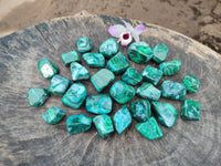 Polished Malacolla Free Forms x 35 From Kulukuluku, Congo