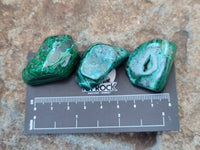 Polished Malacolla Free Forms x 35 From Kulukuluku, Congo