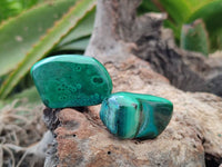 Polished Malacolla Free Forms x 35 From Kulukuluku, Congo