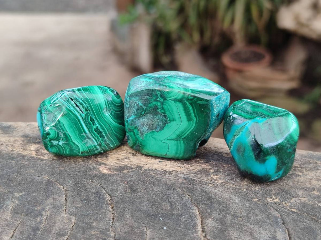 Polished Malacolla Free Forms x 35 From Kulukuluku, Congo - Toprock Gemstones and Minerals 