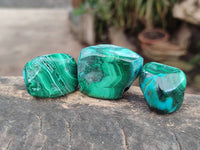 Polished Malacolla Free Forms x 35 From Kulukuluku, Congo