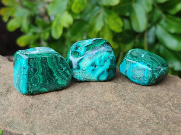 Polished Malacolla Free Forms x 35 From Kulukuluku, Congo