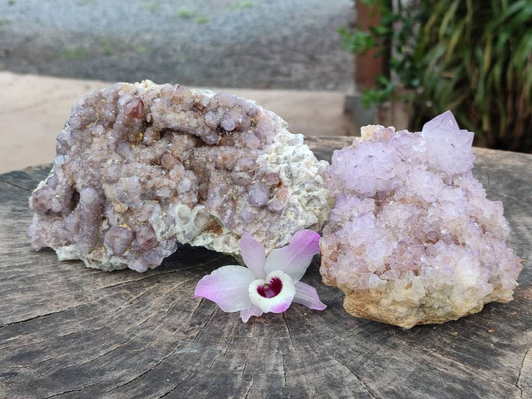 Natural Amethyst Spirit Quartz Clusters x 2 From Boekenhouthoek, South Africa - Toprock Gemstones and Minerals 
