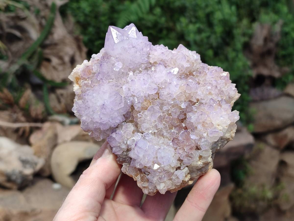 Natural Amethyst Spirit Quartz Clusters x 2 From Boekenhouthoek, South Africa - Toprock Gemstones and Minerals 