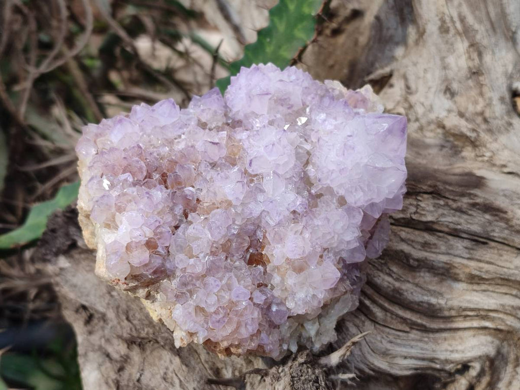 Natural Amethyst Spirit Quartz Clusters x 2 From Boekenhouthoek, South Africa - Toprock Gemstones and Minerals 