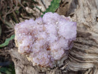 Natural Amethyst Spirit Quartz Clusters x 2 From Boekenhouthoek, South Africa - Toprock Gemstones and Minerals 
