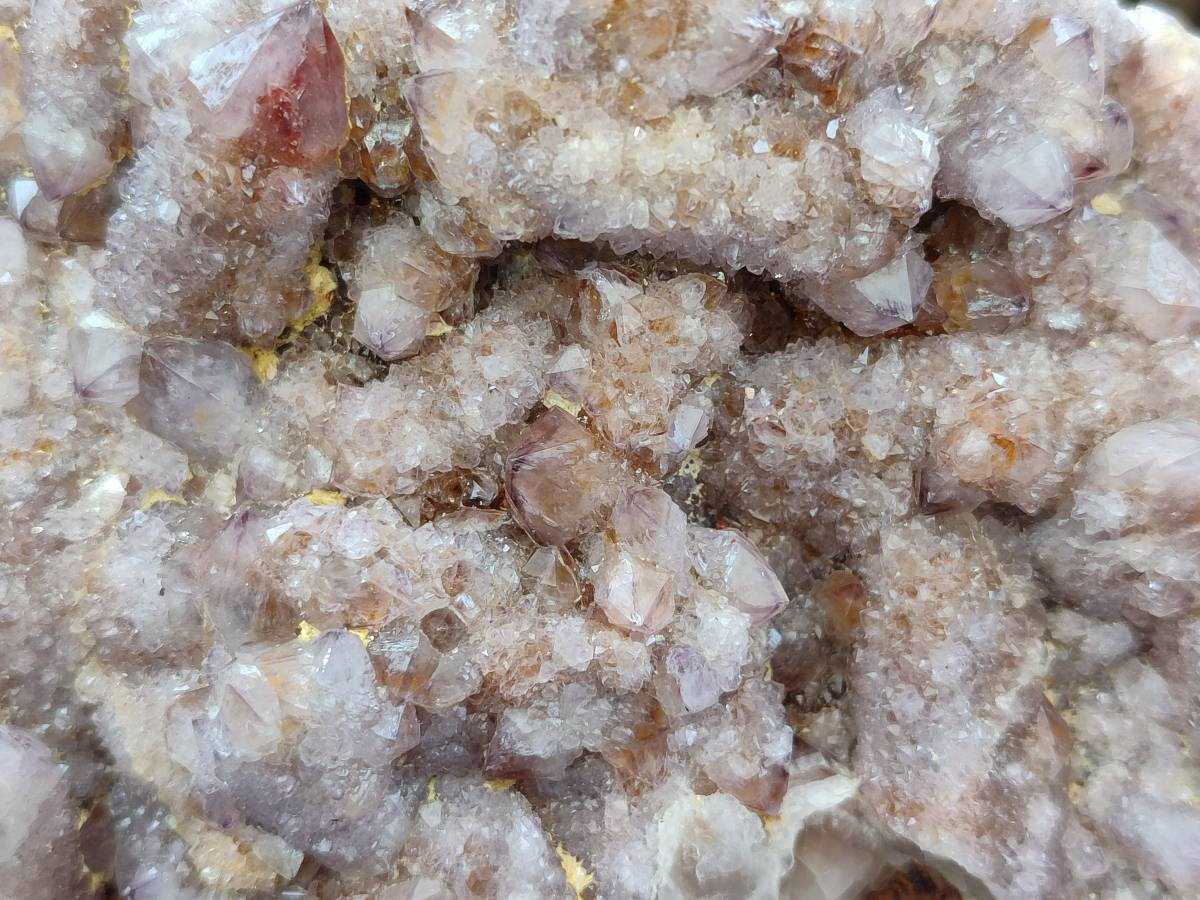 Natural Amethyst Spirit Quartz Clusters x 2 From Boekenhouthoek, South Africa - Toprock Gemstones and Minerals 