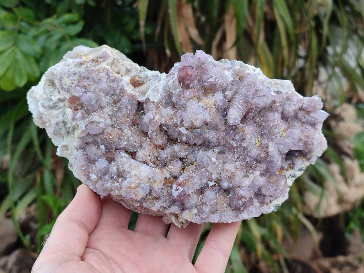Natural Amethyst Spirit Quartz Clusters x 2 From Boekenhouthoek, South Africa - Toprock Gemstones and Minerals 