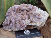 Natural Amethyst Spirit Quartz Clusters x 2 From Boekenhouthoek, South Africa
