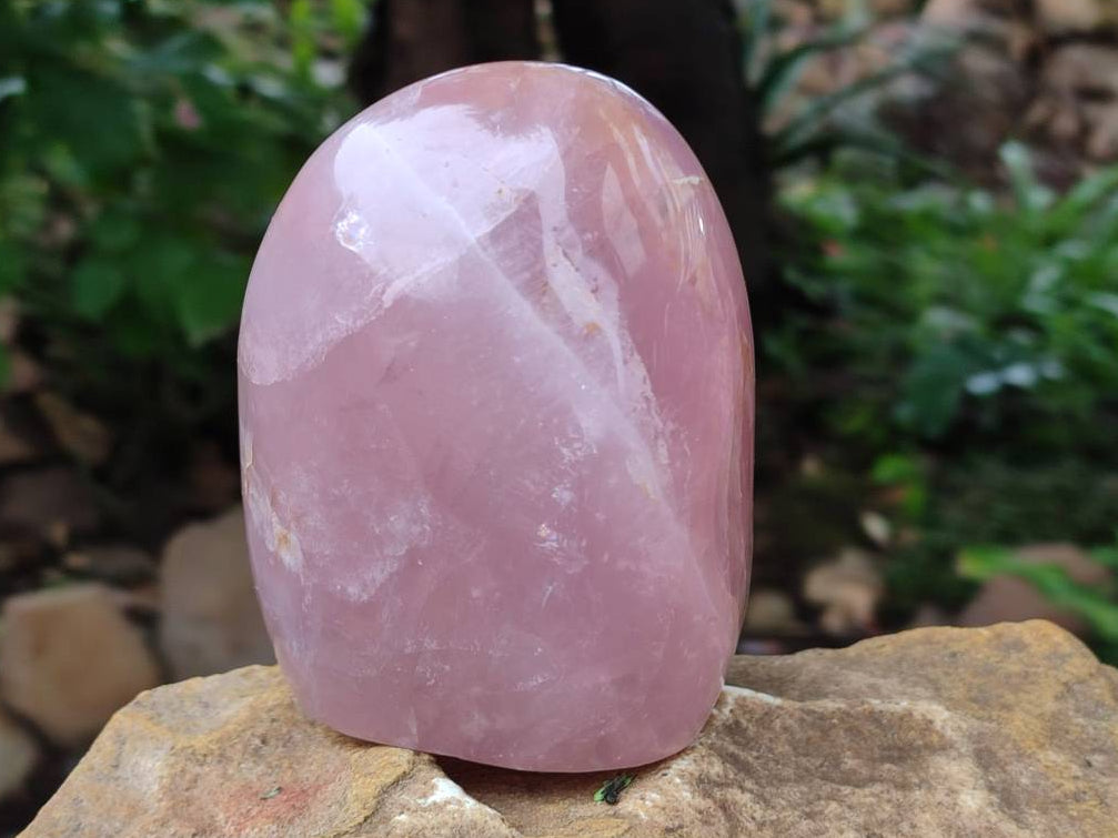 Polished Rose Quartz Standing Free Form x 2 From Madagascar - Toprock Gemstones and Minerals 
