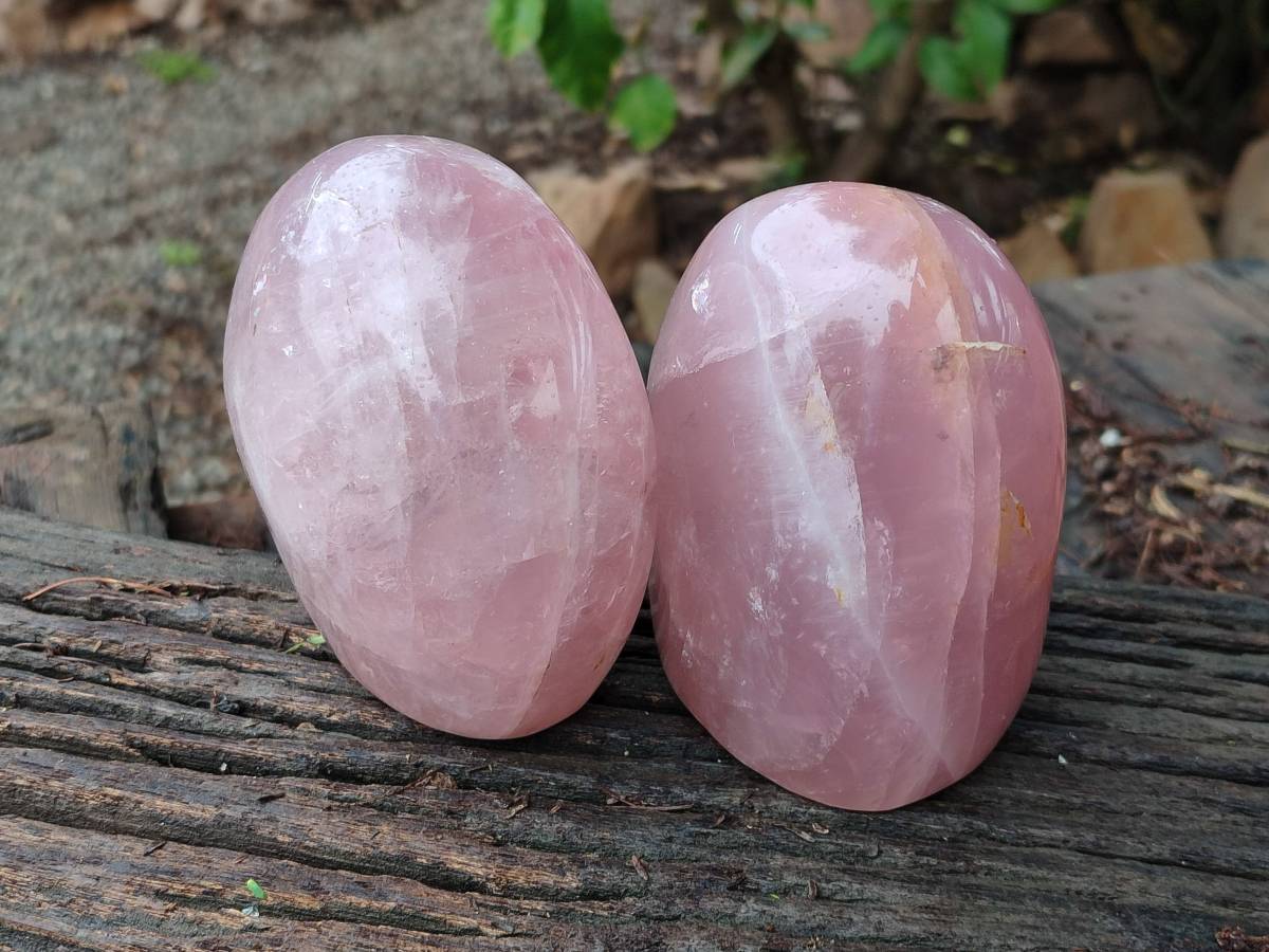 Polished Rose Quartz Standing Free Form x 2 From Madagascar - Toprock Gemstones and Minerals 