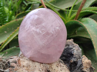 Polished Rose Quartz Standing Free Form x 2 From Madagascar