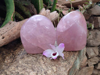 Polished Rose Quartz Standing Free Form x 2 From Madagascar